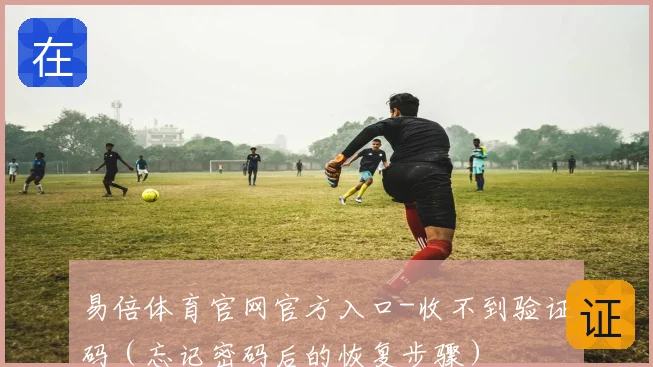 易倍体育官网官方入口-收不到验证码（忘记密码后的恢复步骤）